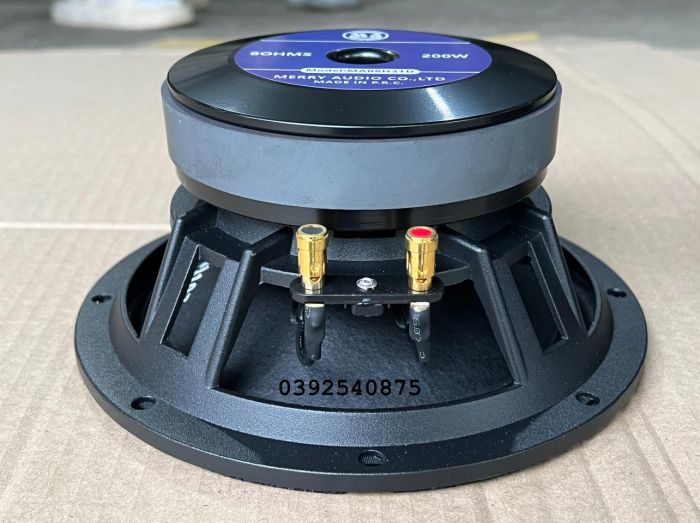 BASS 20 MERRY AUDIO TU 135 COIL 51